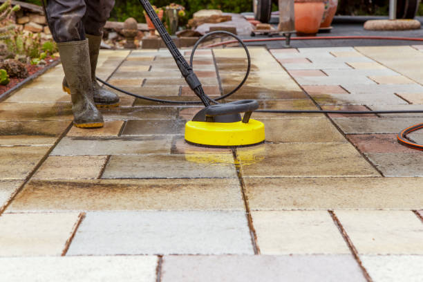Best Oil Spill Cleanup  in Moville, IA